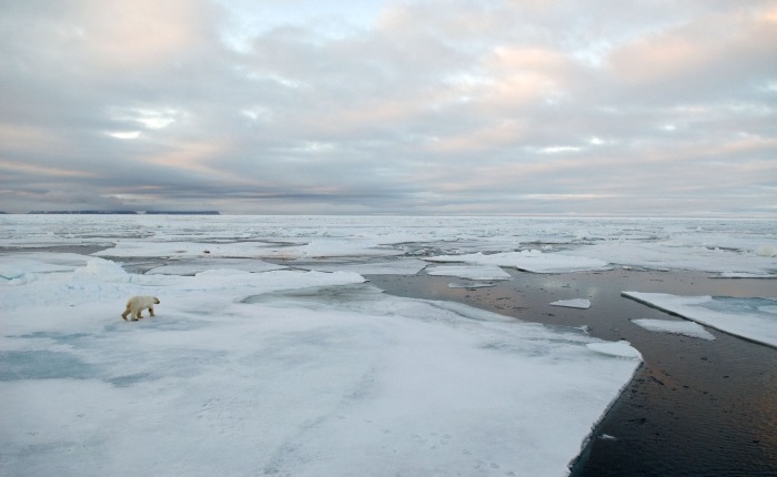 Inuit Knowledge and Climate Change